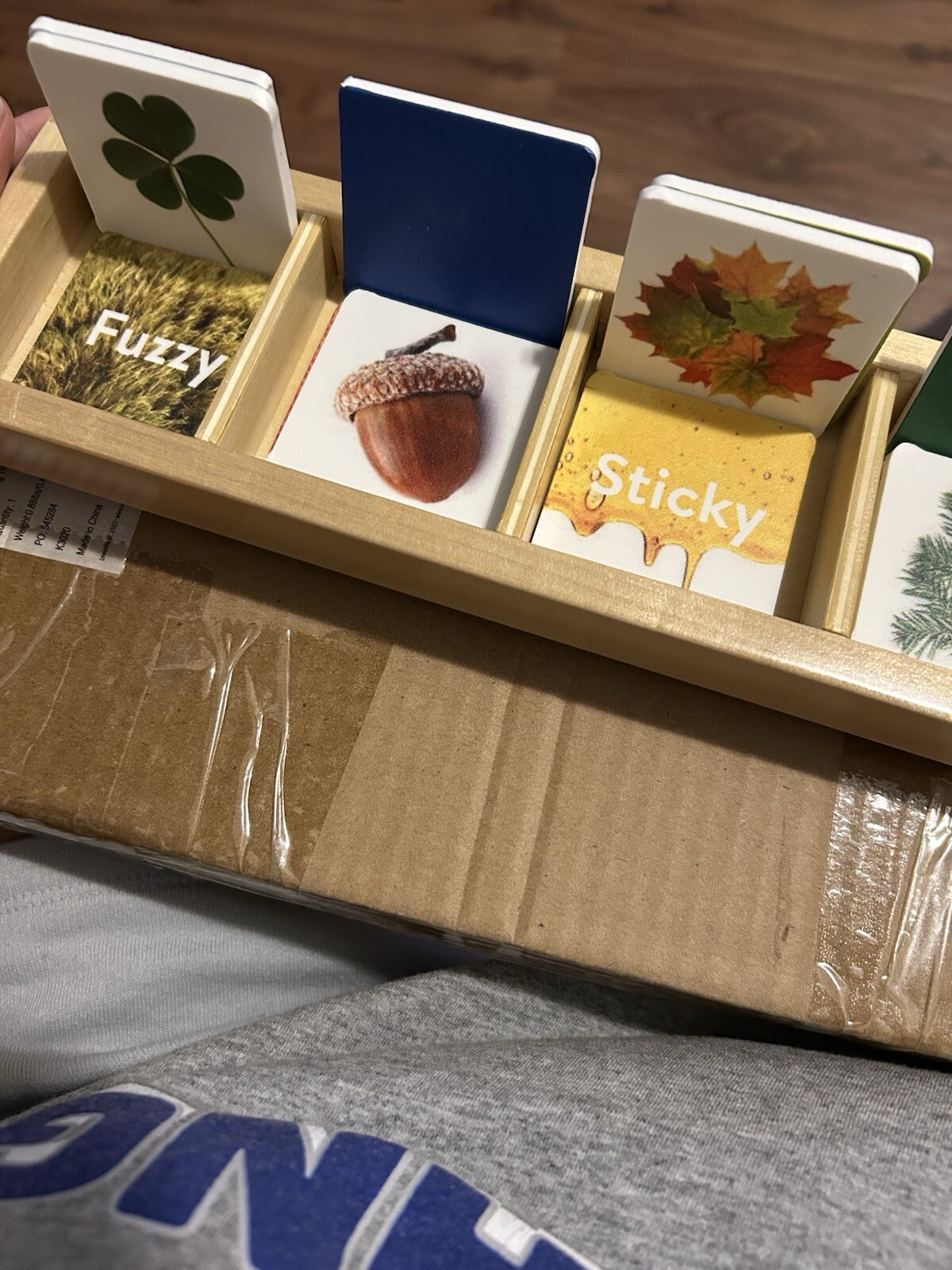 Kaplan Nature Seek And Sort Tiles