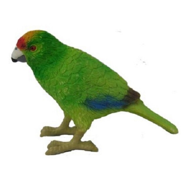 2 Australian Birds: Kakapo, Kakariki