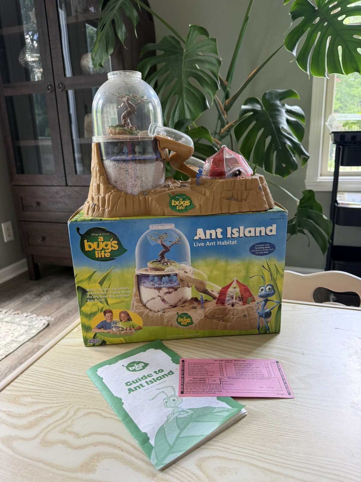 Vintage Disney/Pixar A Bugs Life Ant Island Live Ant Habitat/Farm (No Ants) 1998