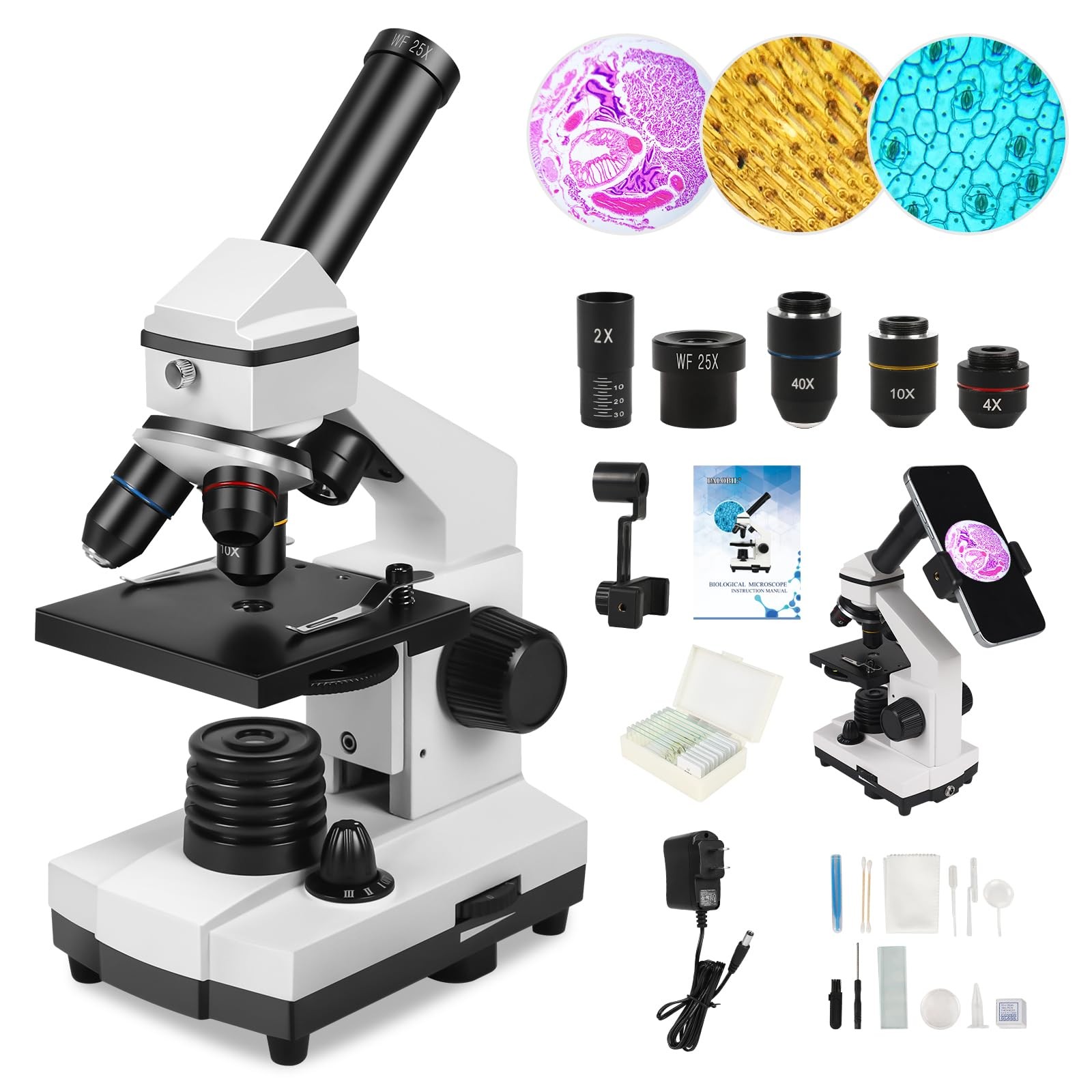 Microscope for Adults Professional:Compound Microscope for 8-12,100X-2000X Mi…
