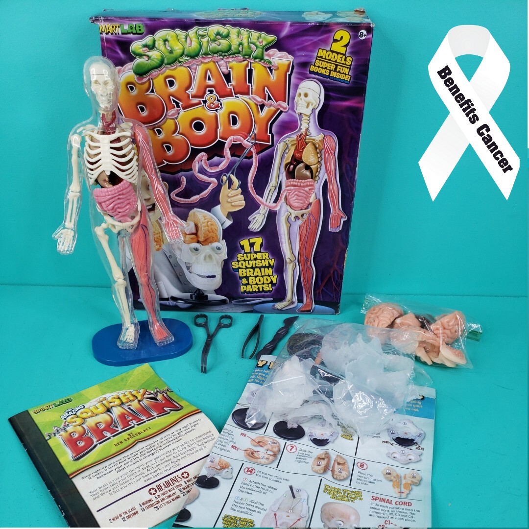 SmartLab Toys Squishy Human Body & Brain – Homeschooling