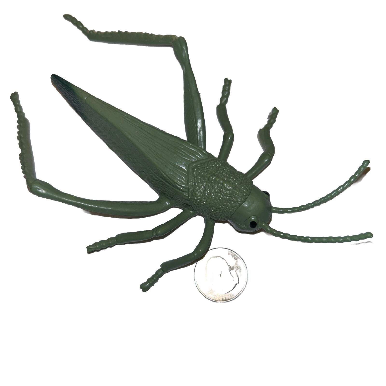 DOLGEN Realistic Rubber Grasshopper Insect Bug 7 1/2″ Toy Figure