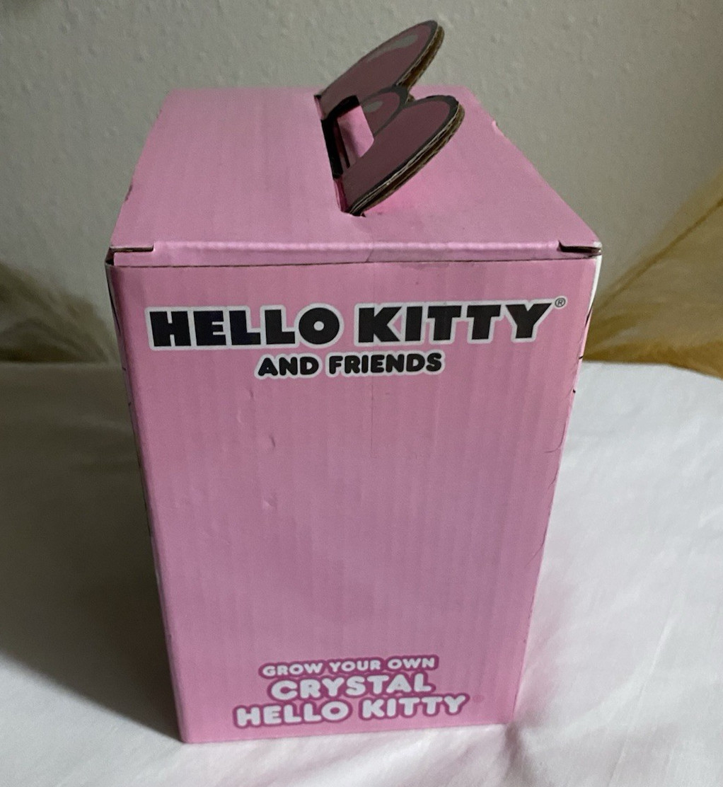 HELLO KITTY Grow & Paint Your Own Crystal Set Art Science Craft Toy NEW IN BOX