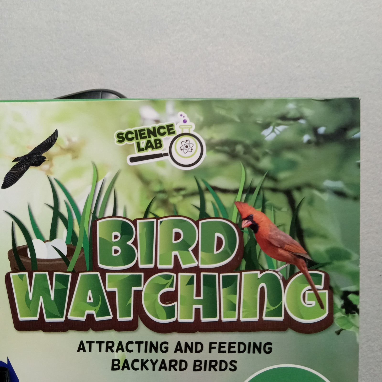 SpiceBox Science Lab Bird Watching Kit: Explore, Learn, and Observe Birds