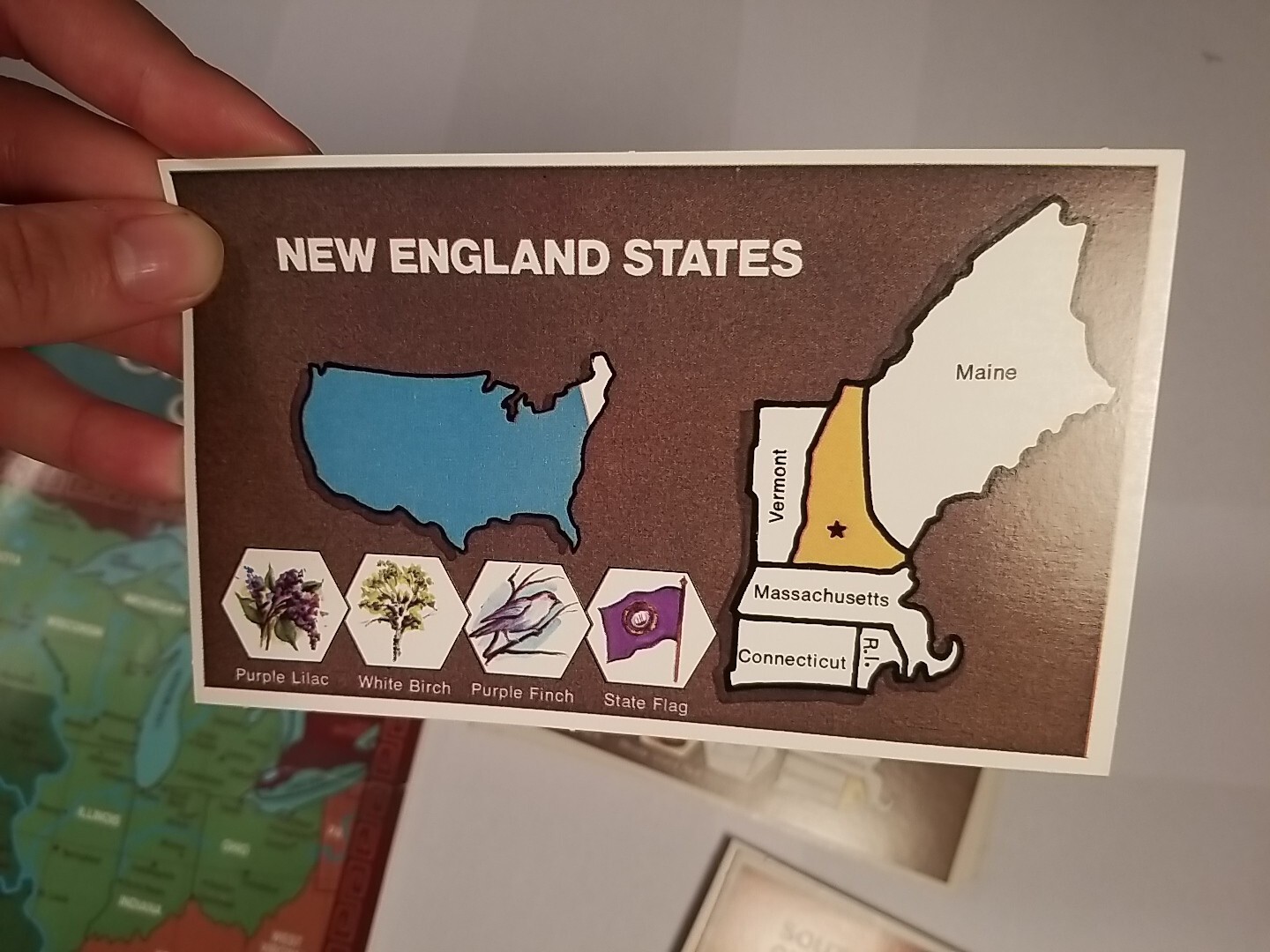 US Map Skills Booklets and Flashcards State Geography Region Capitals Homeschool