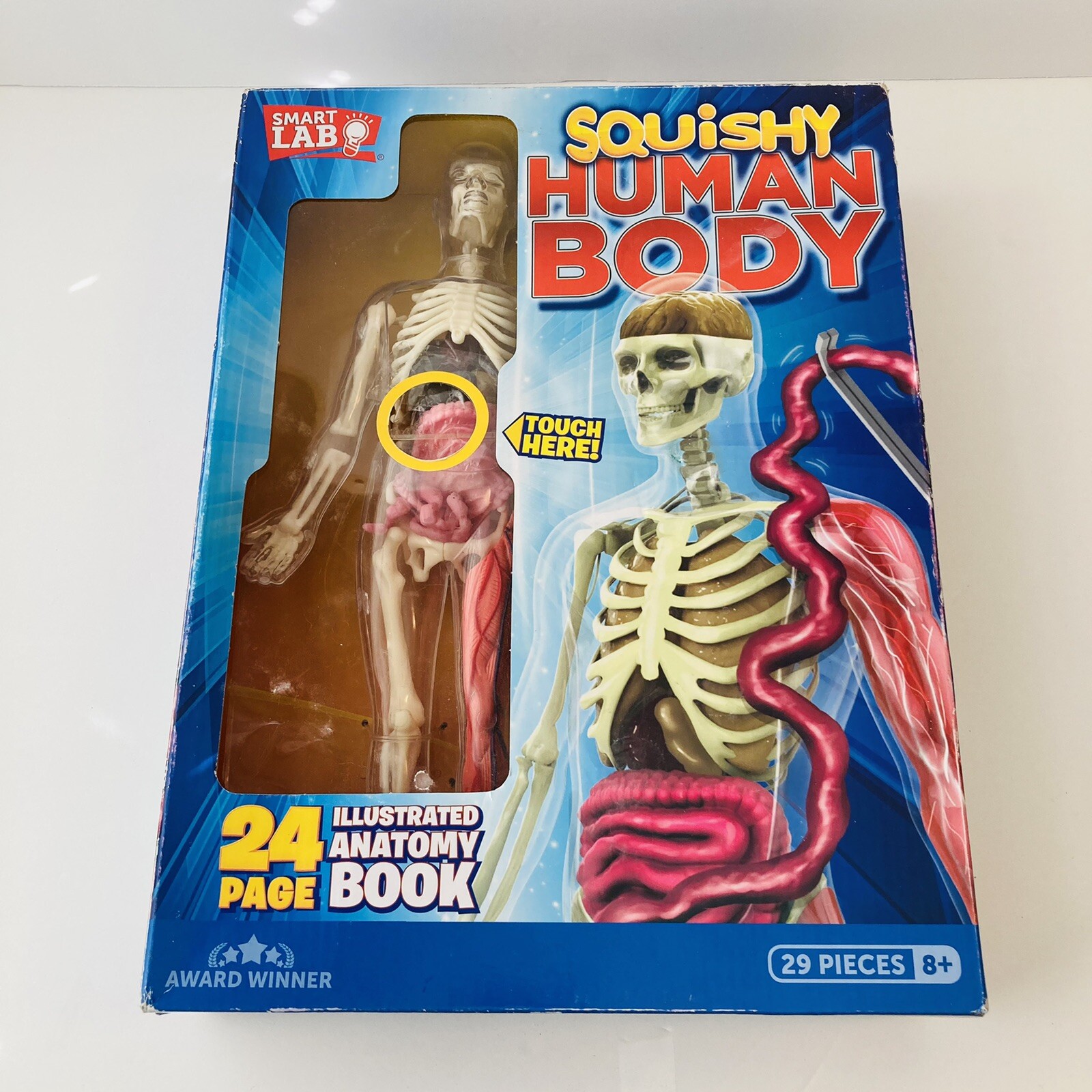 SmartLab Toys Squishy Human Body 6428~Educational Anatomy Lab