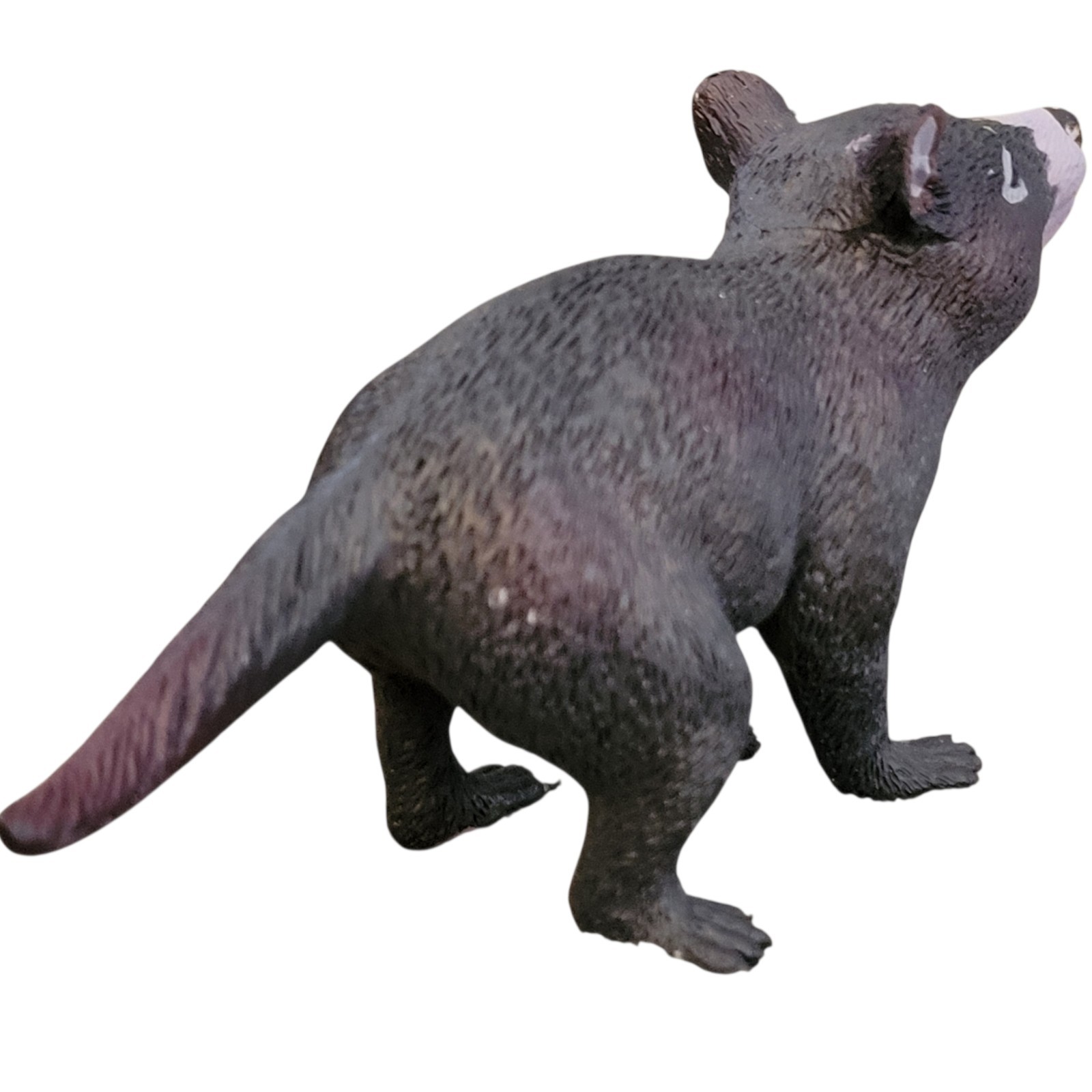 Science & Nature Australian Tasmanian Devil PVC Hand Painted Mammal Figure 5.5″