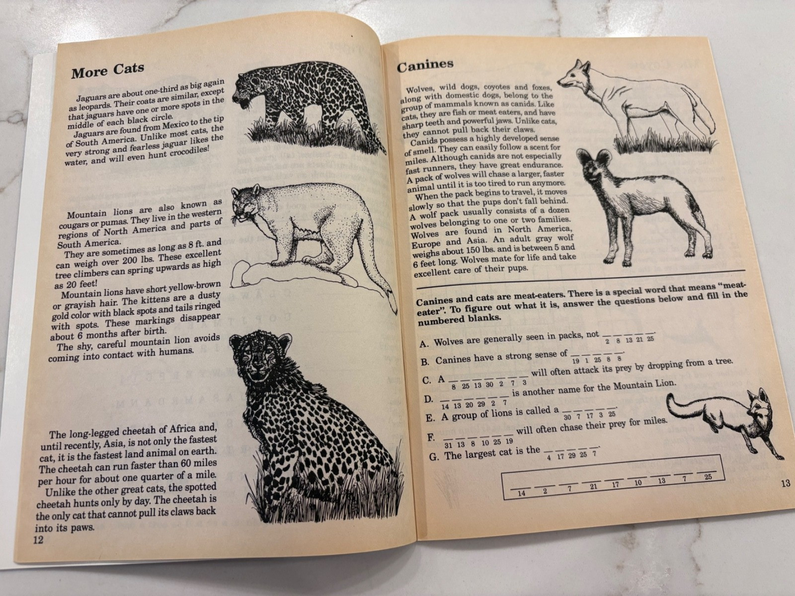 5 Kids Vintage Science Activity Fun Facts Workbooks-Animals Space Dinosaurs
