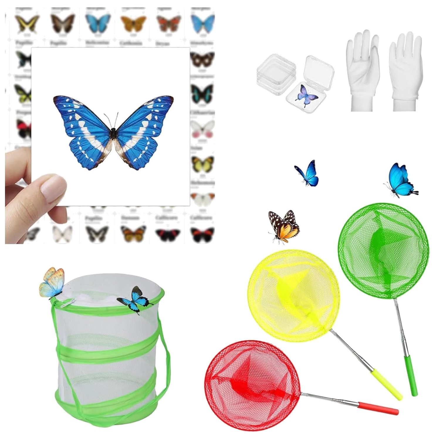 Kids Butterfly Net Set with Specimen Box & Stickers, Outdoor Explorer Kit, Ag…