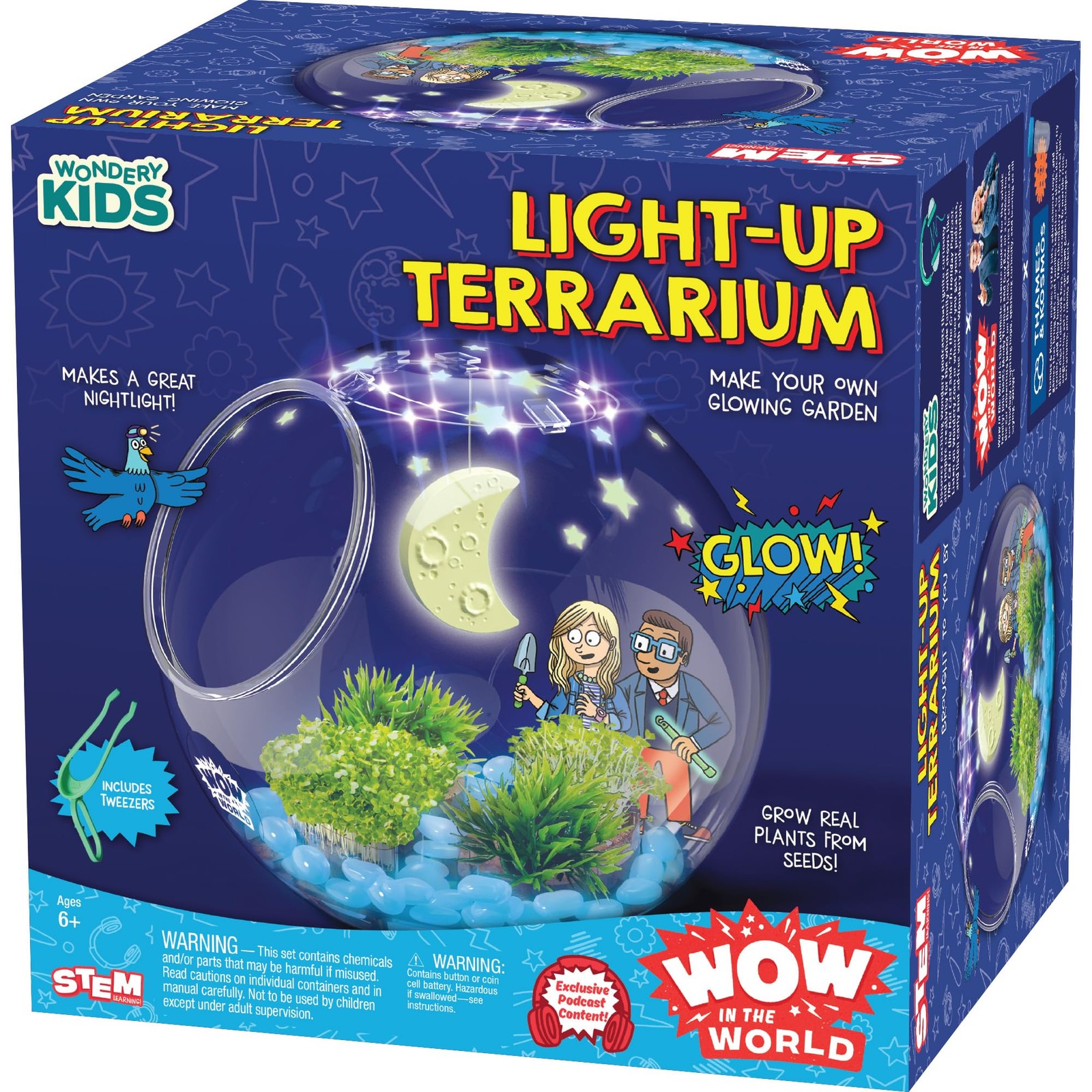 LightUP Terrarium | Grow Plants, Decorate Your Terrarium, GlowinTheDark, UV L…