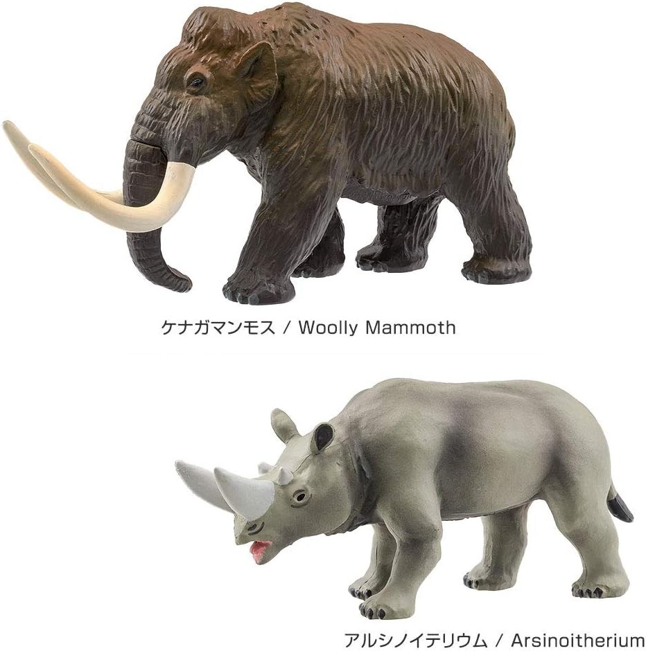 Colorata Real Figure Extinct Cenozoic Animals 8 Types Box