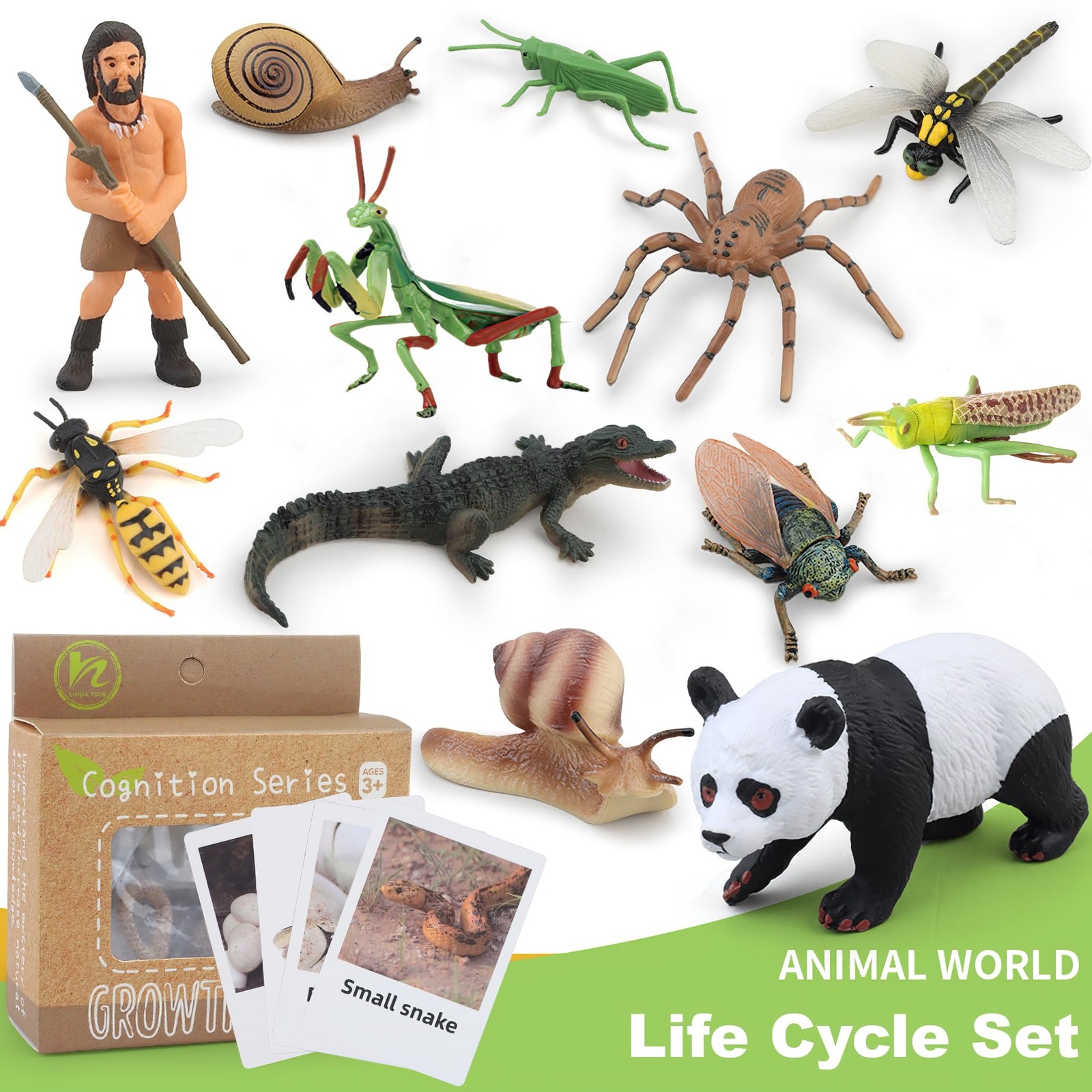 Montessori Life Cycle Animal Insect Figurines Learning & Education Toys, Plas…
