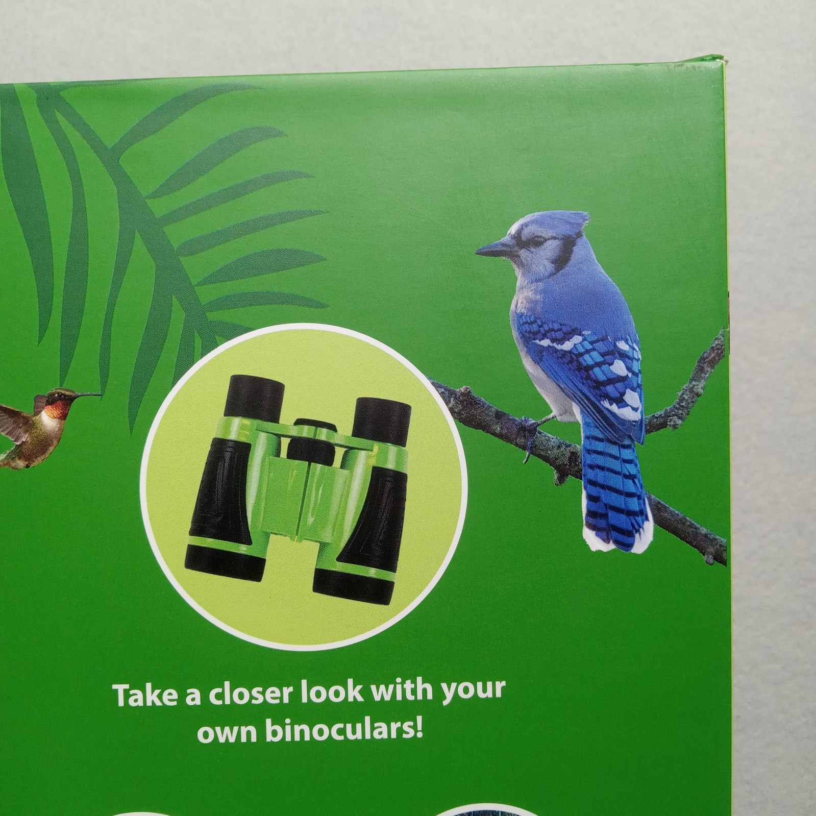 SpiceBox Science Lab Bird Watching Kit: Explore, Learn, and Observe Birds