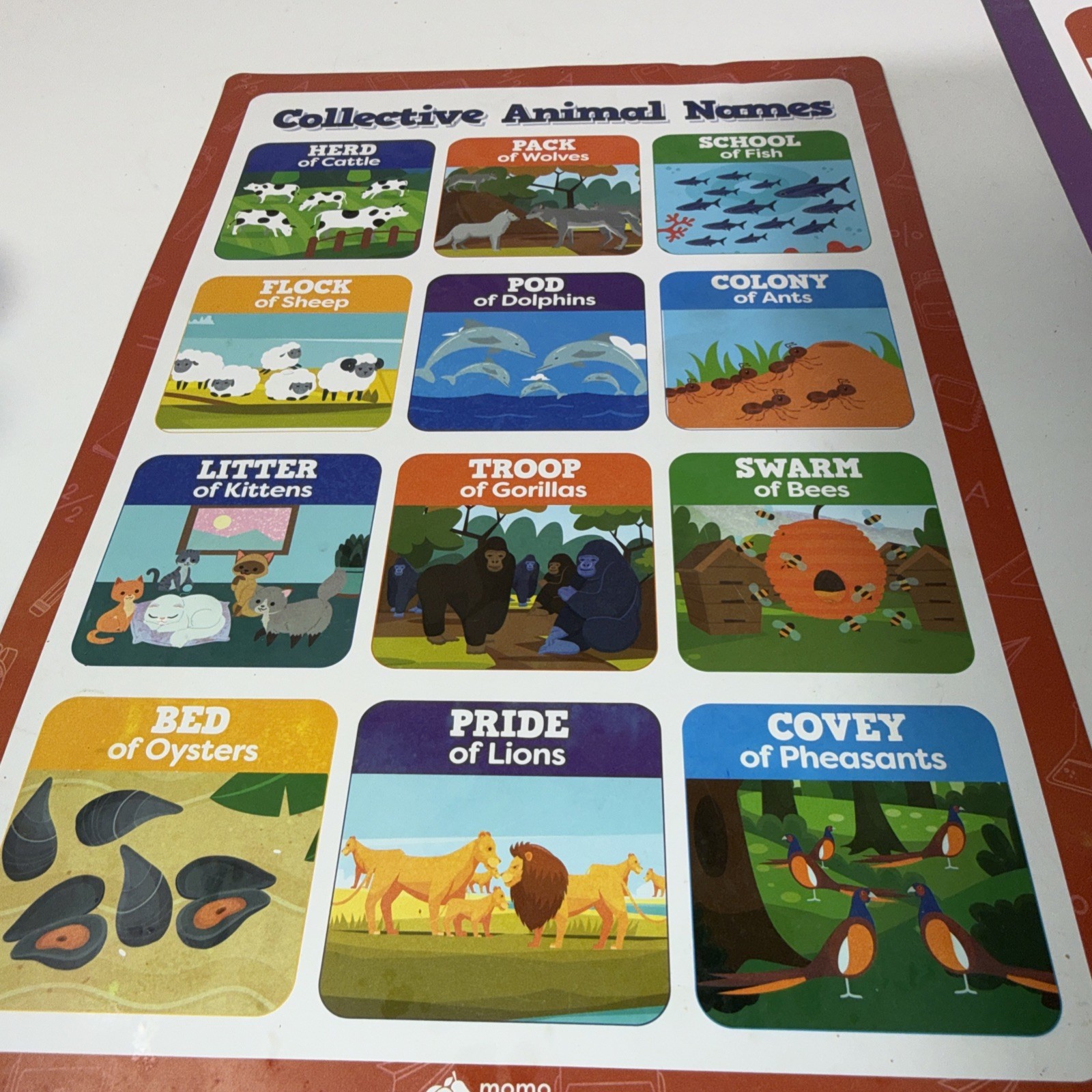 Kindergarten Educational Posters Shapes, Colors, Days, Numbers, More 16×11