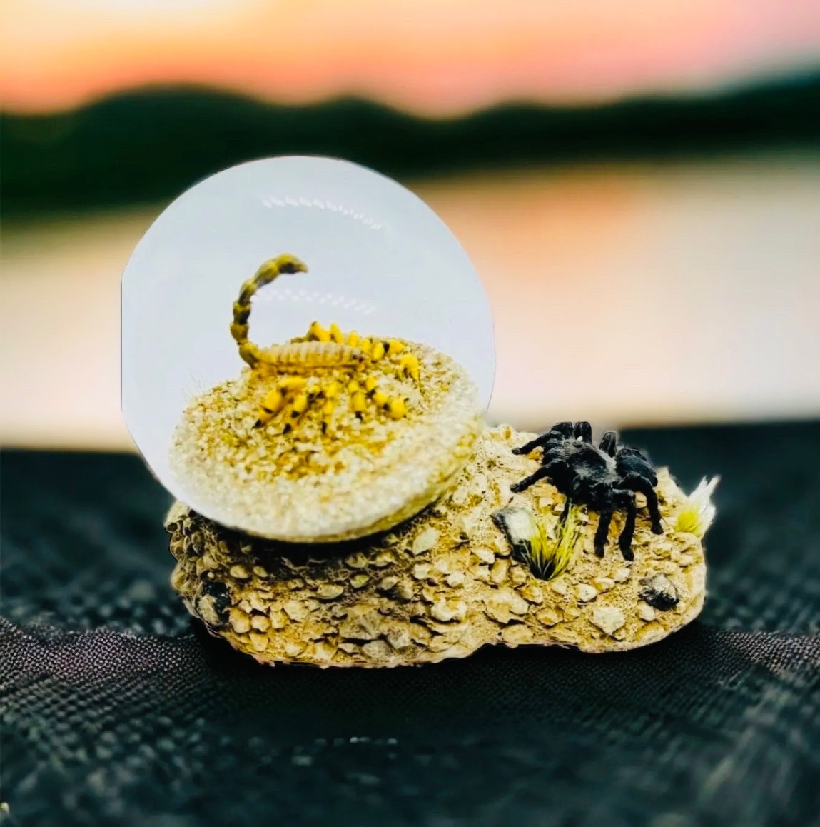 Real Scorpion Tarantula Glass Dome Desert Scene Paperweight Display