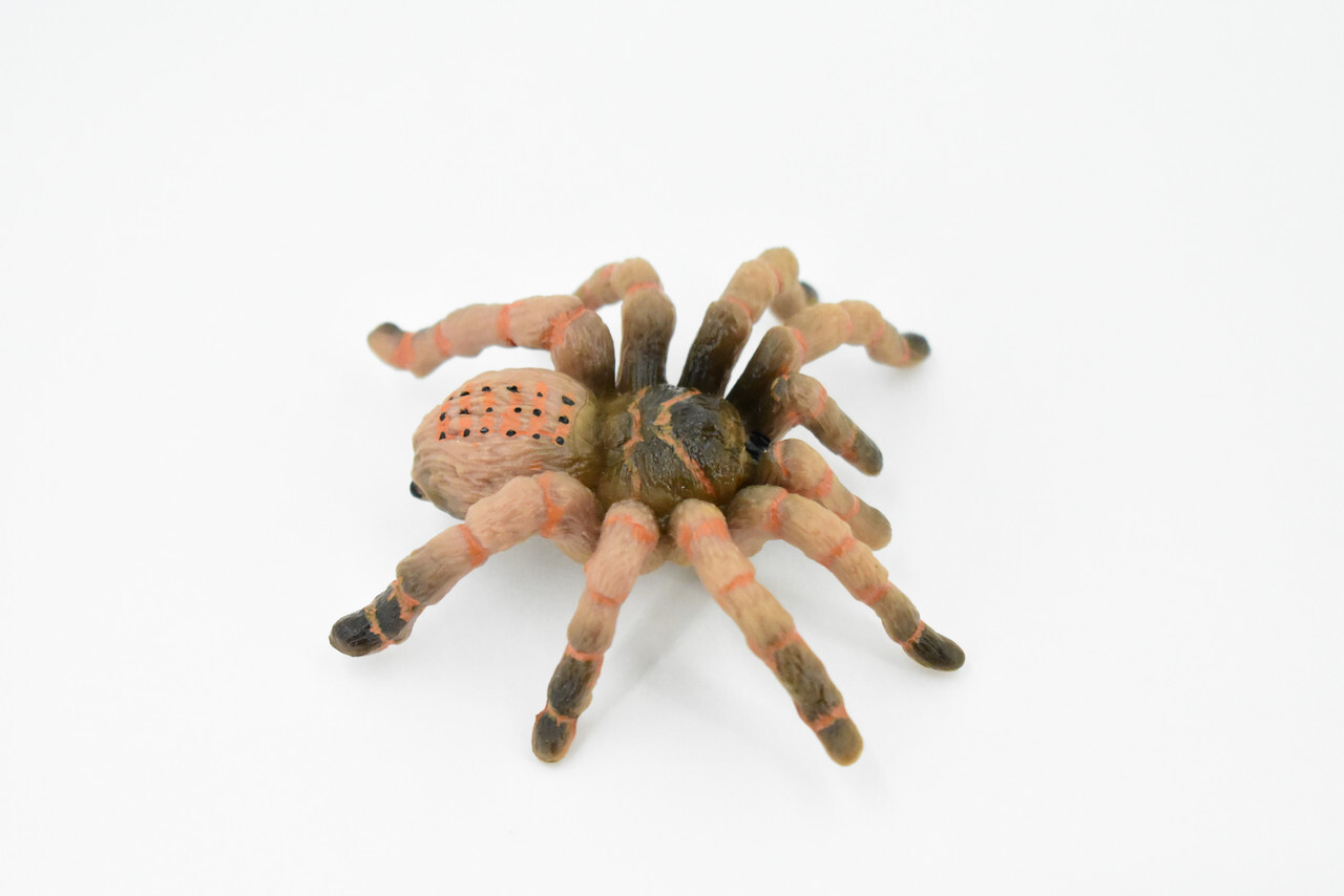 Wolf Spider, Hand Painted, Realistic Toy Figure, Model 3″ CH422 BB108