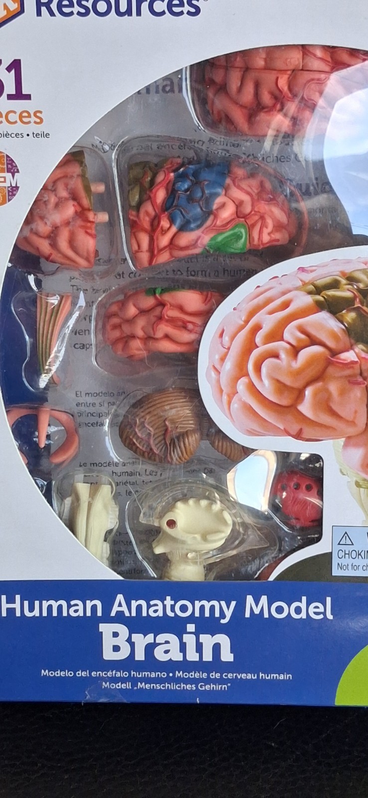 Learning Resources Human Model Brain Kit Educational Anatomy STEM Based NEW