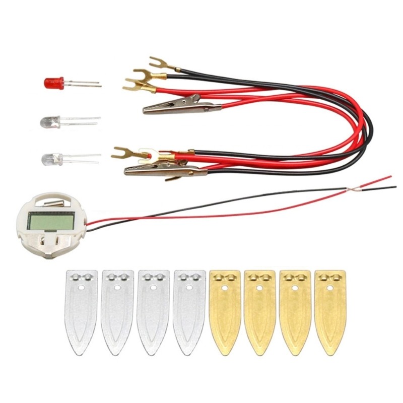 Fruit Battery Science Educational Toy Fruit Power Generation Experiment Set