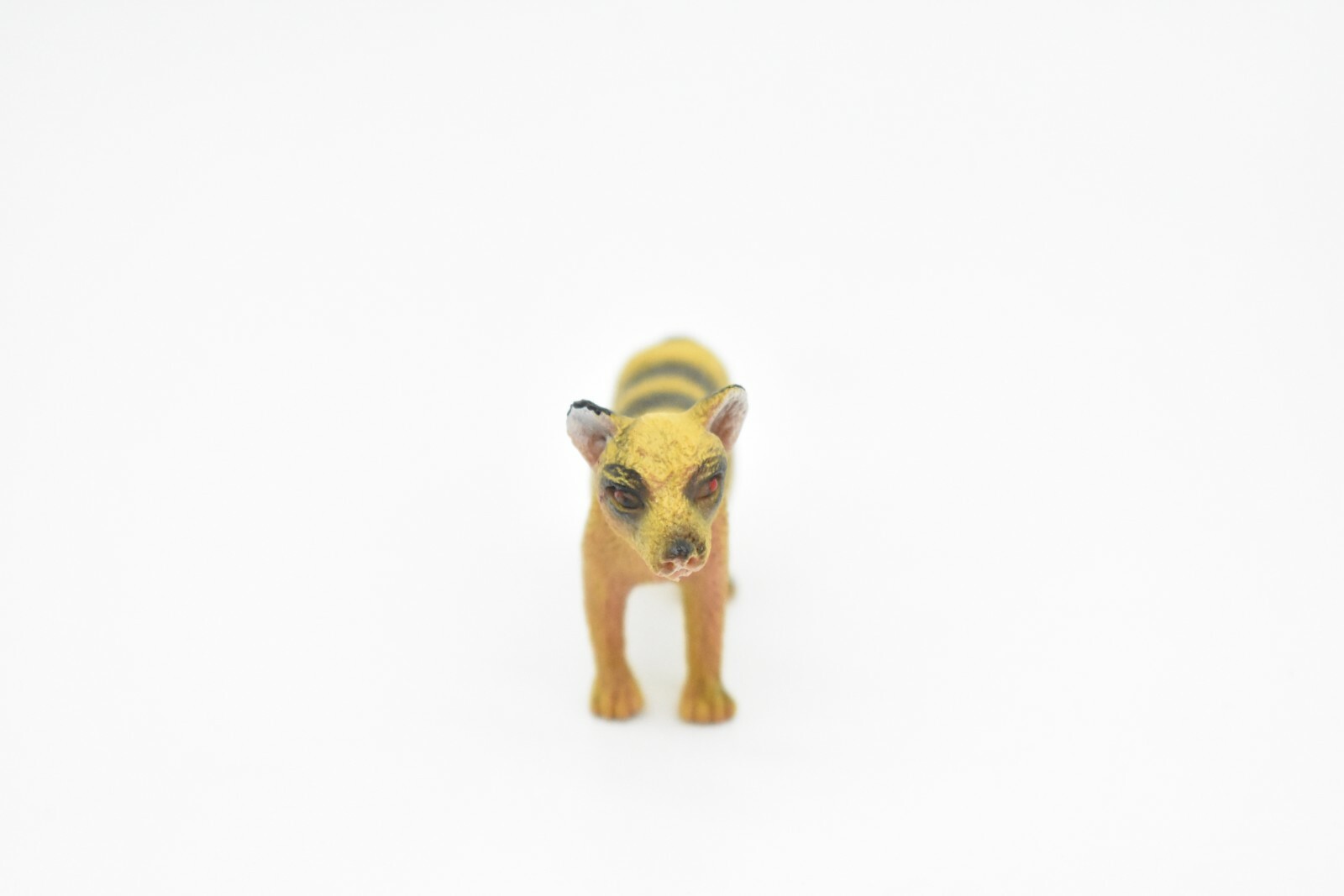 Tasmanian Tiger, Thylacine, Very Nice Plastic Animal Toy, 3″ CWG128 B238