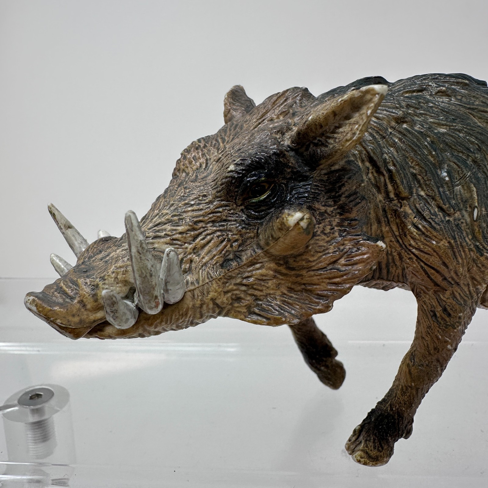 AAA Warthog Figure Jungle Pig Boar Wildlife Zoo Safari Animal Figurine 6.5″