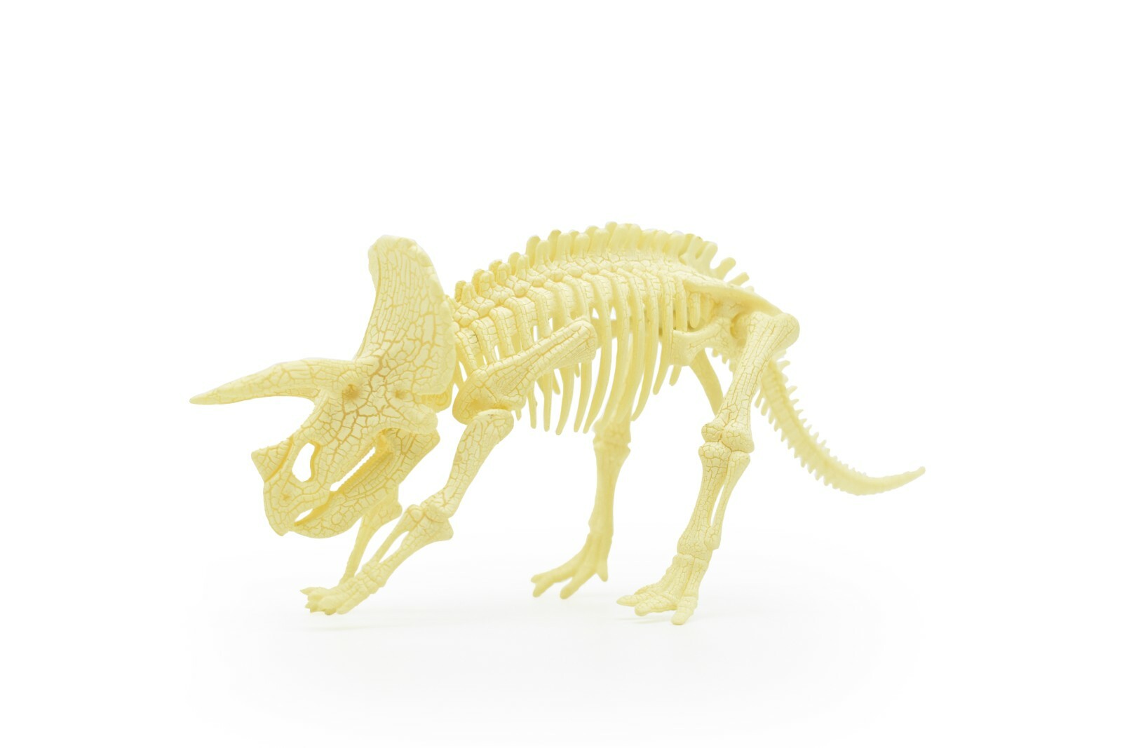 Triceratops Dinosaur, Realistic Toy Plastic Skeleton Model Puzzle 9″ F1809 B303