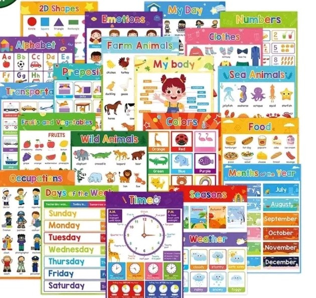 20-Pack Laminated Educational Learning Posters for Kids Alphabet Numbers 8×11