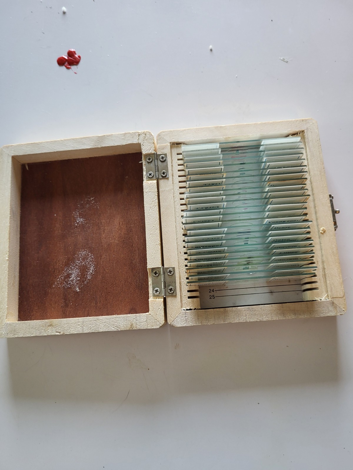 Set of AmScope Glass Slides Pre-Made Variety in Wooden Box, STEM, HOME SCHOOL,