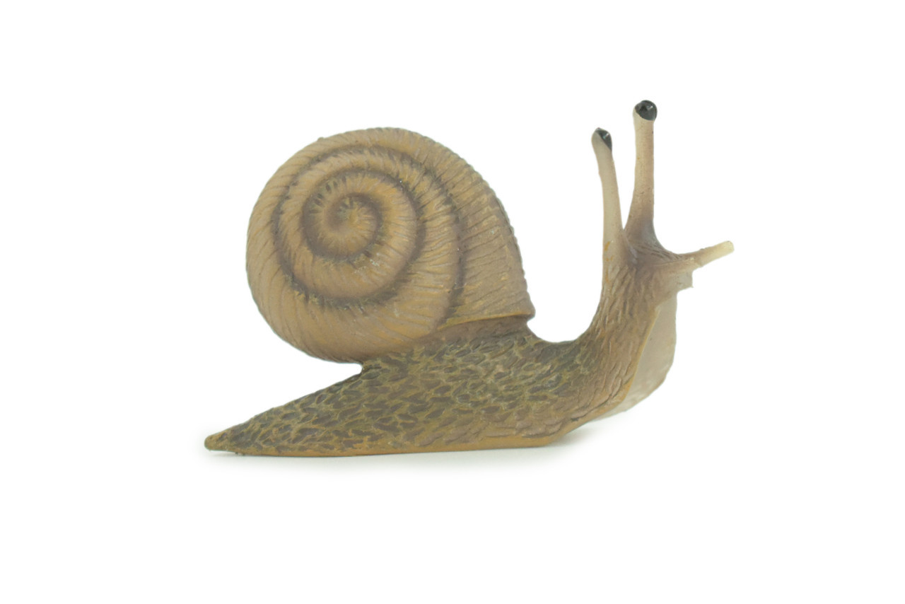 Garden Snail Toy Realistic Hand Painted Rubber Snail Model 3 Inches CH868 BB199