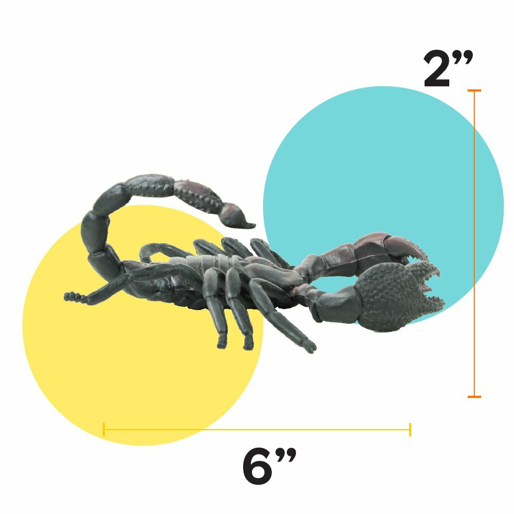 12 Pack Insects – Perfect for Imaginative Play, Pretend Activities, Party Favors