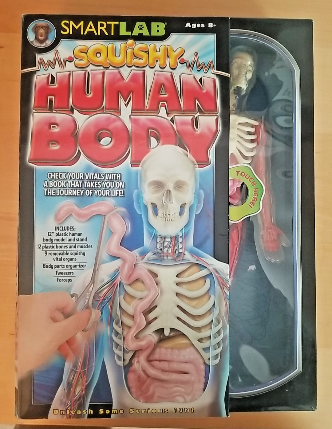 SmartLab Squishy Human Body Kit 12″ Model – Organs, Tools, Box Included