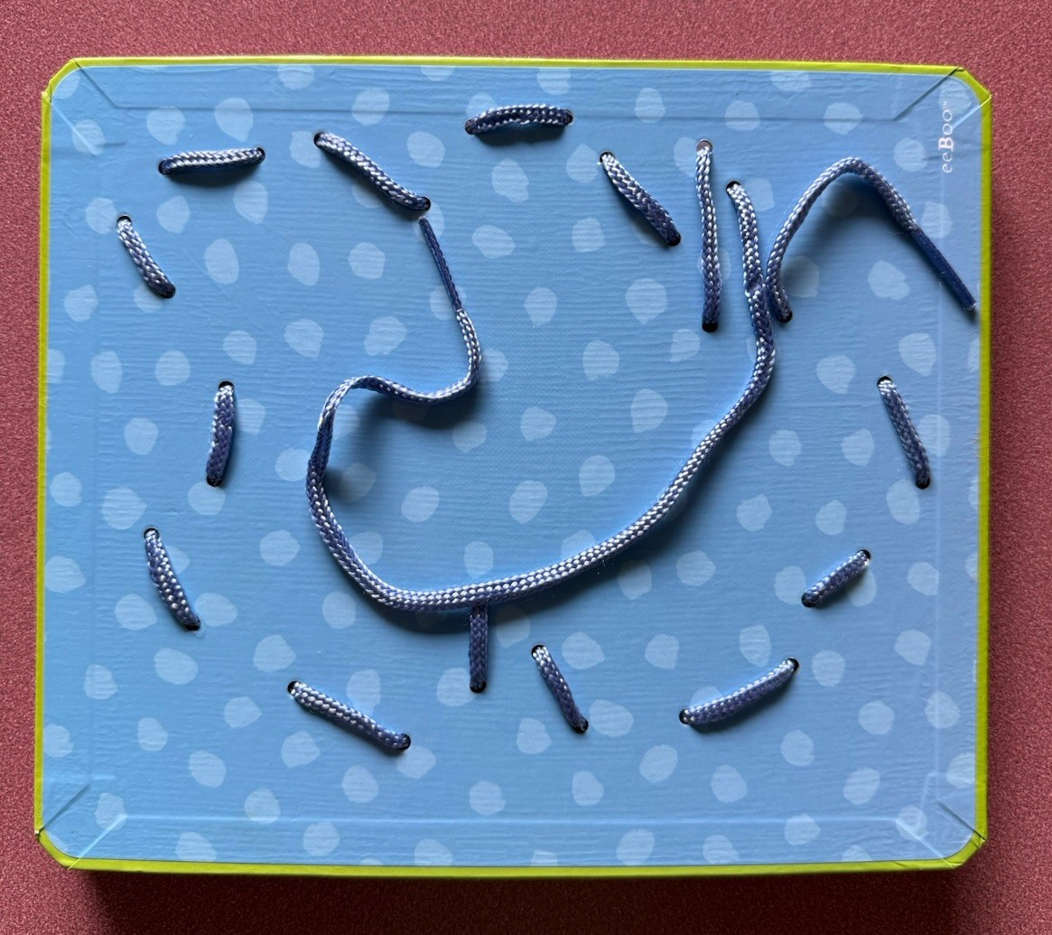 EeBoo Lacing Cards Set Of 5 “More Friendly Bugs” Ages 5 & Up, 4 Colored Laces