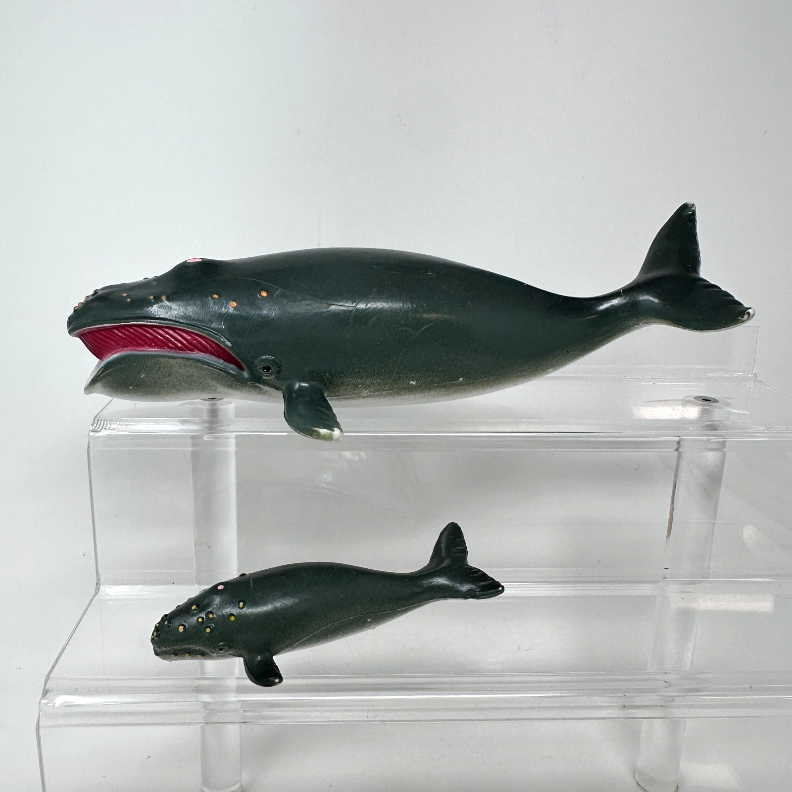AAA Right Whale & Calf Figure Large Ocean Sea Wildlife Animal & Baby Figurine 8″