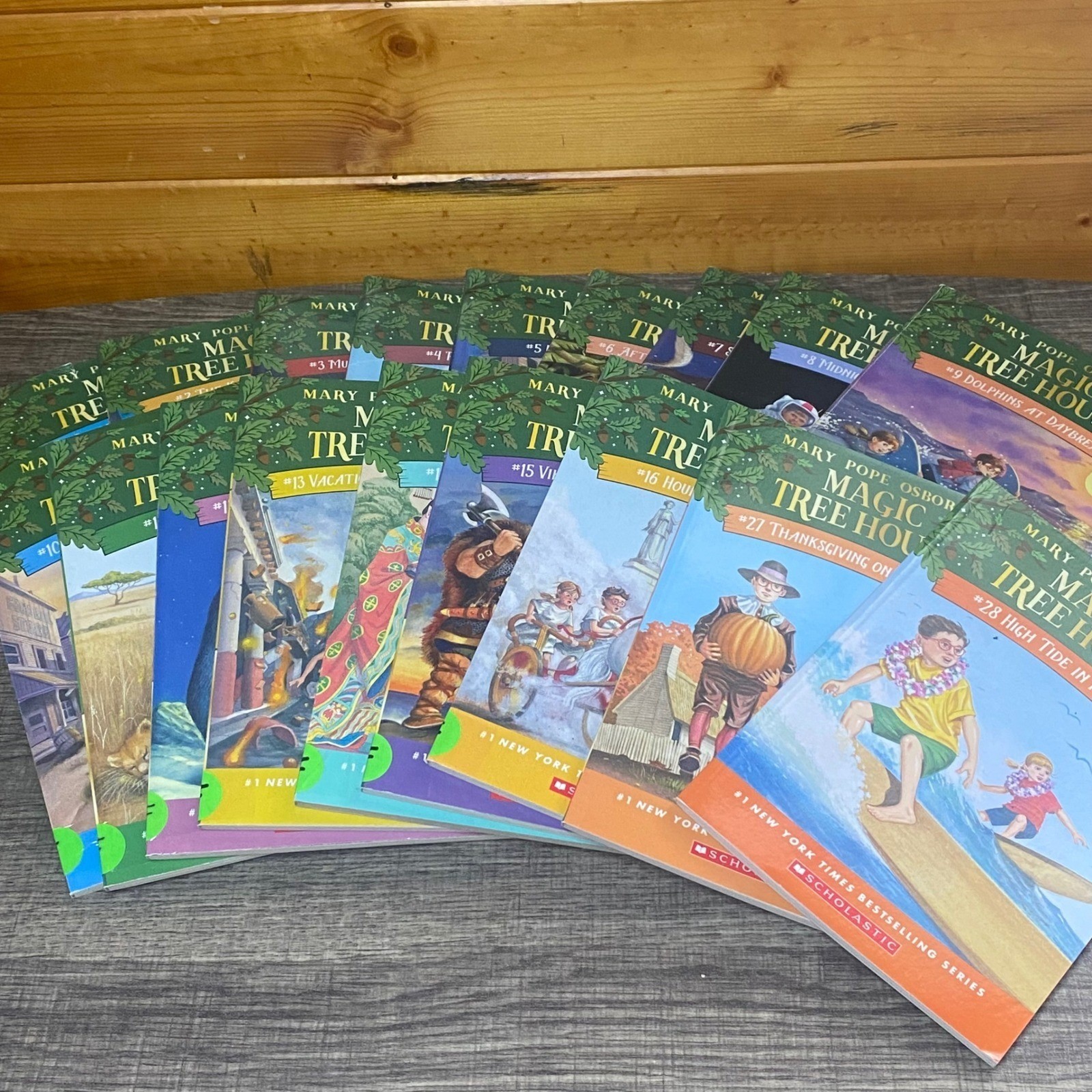 Magic Tree House Books Mary Pope Osborne Lot of 18 Chapter Books Kids Reading