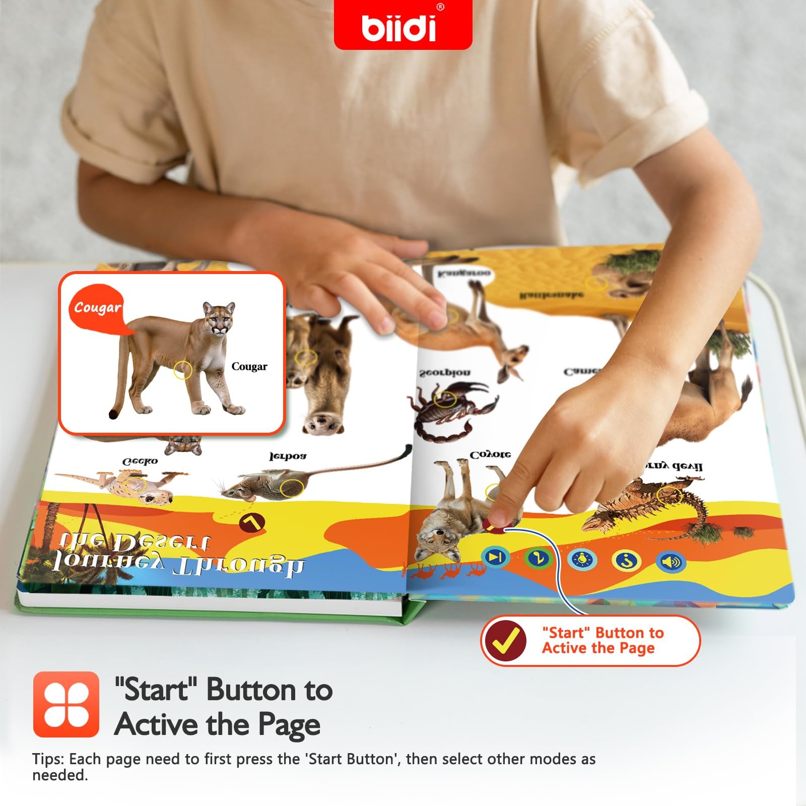English Talking Book,Interactive Sound Book,Educational Learning Book Birthda…