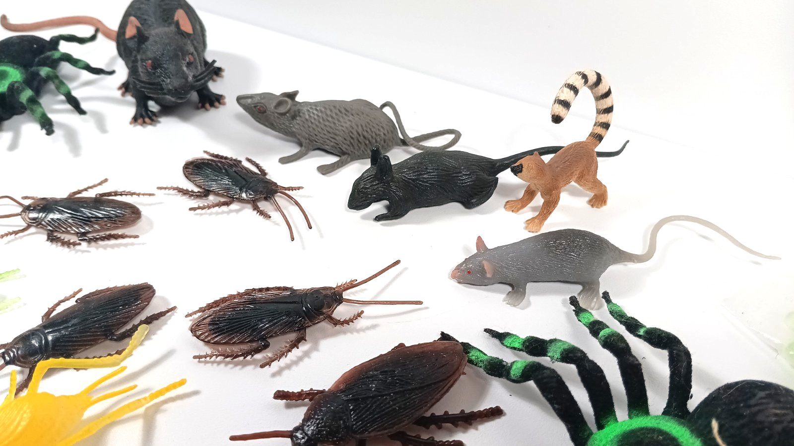 Lot of Rubber Plastic Creepy Bugs Insects Ants Flies Spider Roach Rats Toys