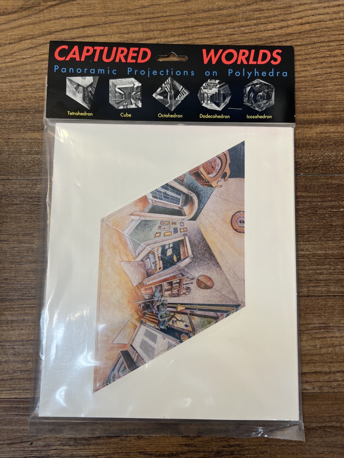 Platonic Solids Captured Worlds: Panoramic Projections on Polyhedra Dick Termes