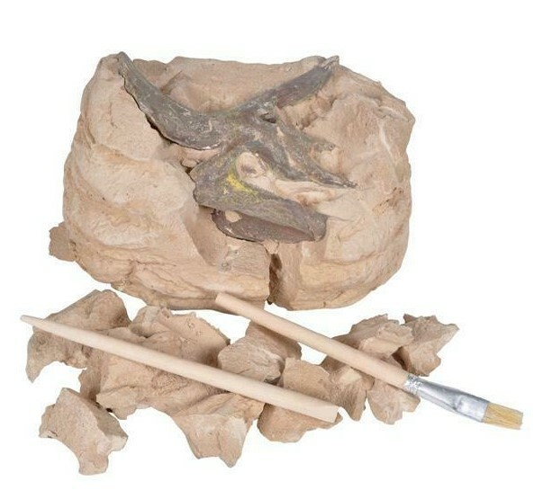 6.5″ Triceratops Skull Excavation Dinosaur Three Horn Dino Dig