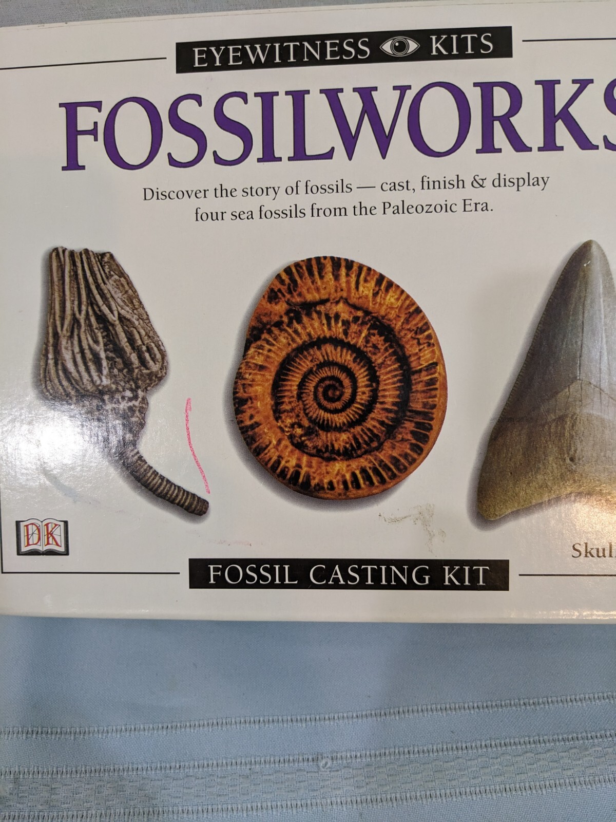 Fossilworks Eyewitness Kit Fossil Casting Activity Skullduggery