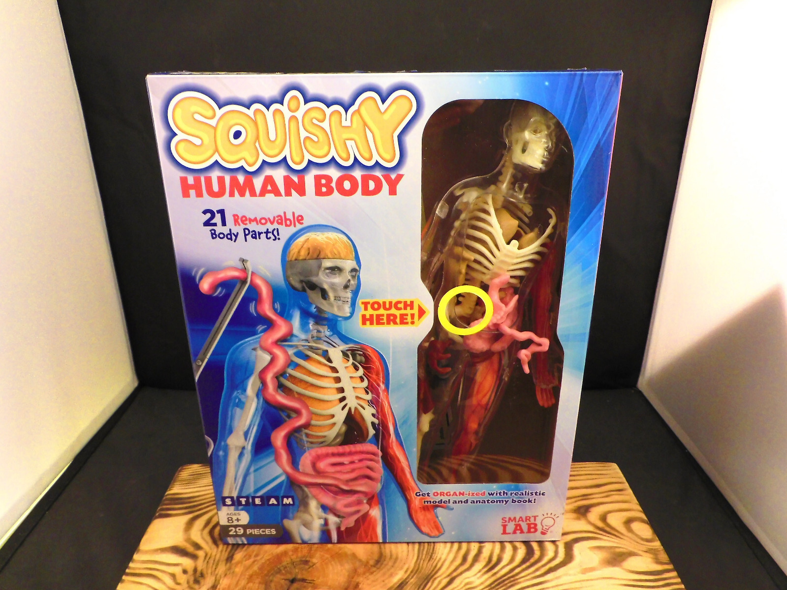Smart Lab Toys Squishy Human Body 21 removable body parts ~NEW in box~