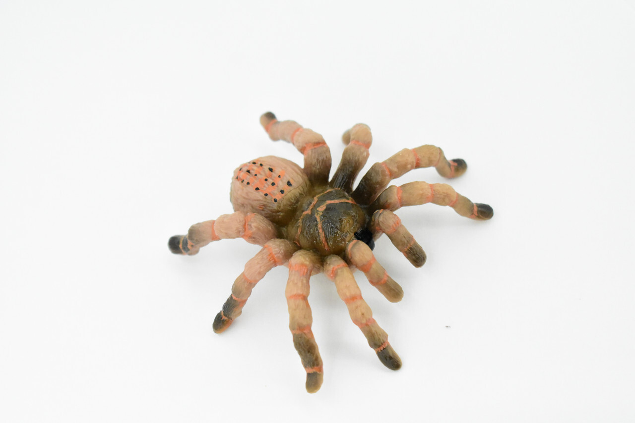 Wolf Spider, Hand Painted, Realistic Toy Figure, Model 3″ CH422 BB108