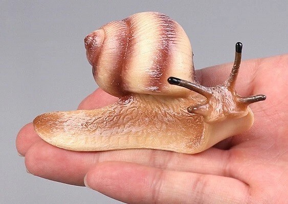 Snail Insect Animal Toy PVC Action Figure Doll Kids Toys Party Gifts