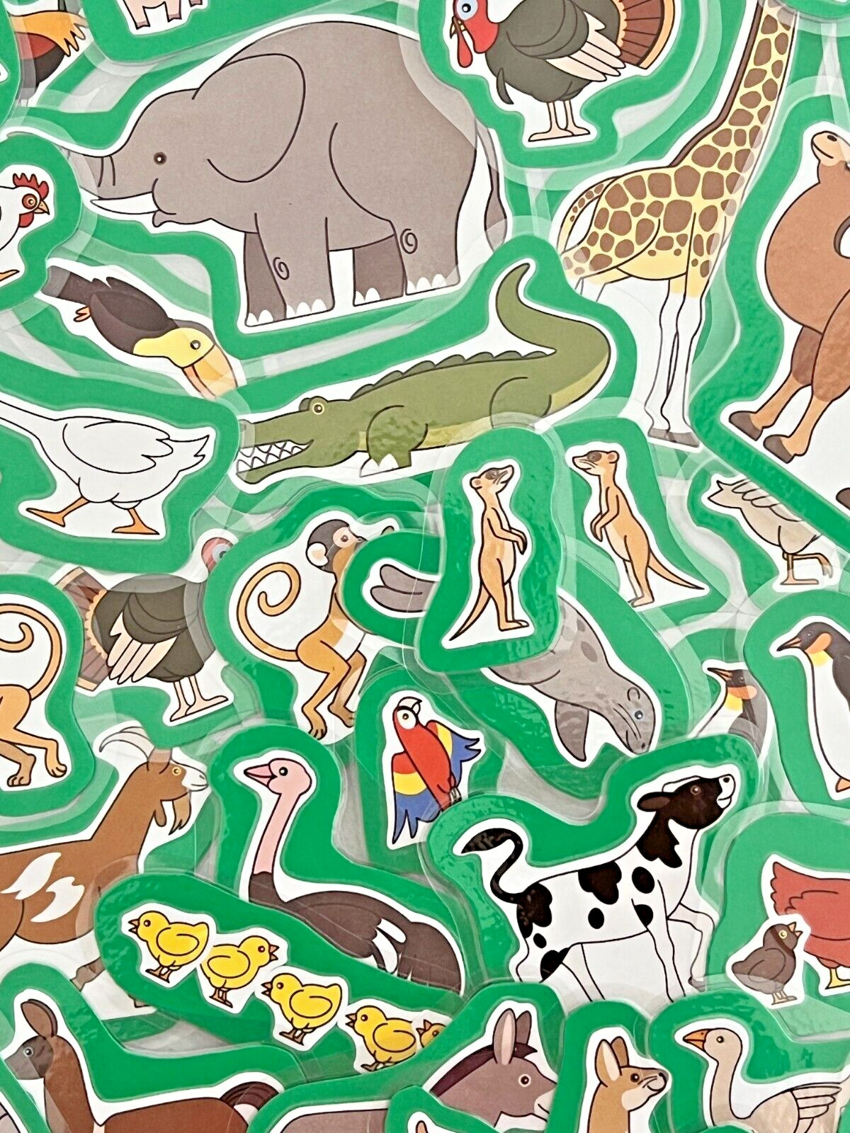 Little Animal Vocabulary Pictures: Speech Language Therapy 60 Mini Picture Cards