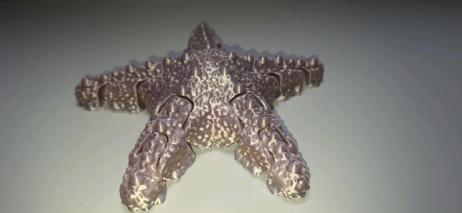 Articulating Starfish Fidget Toy