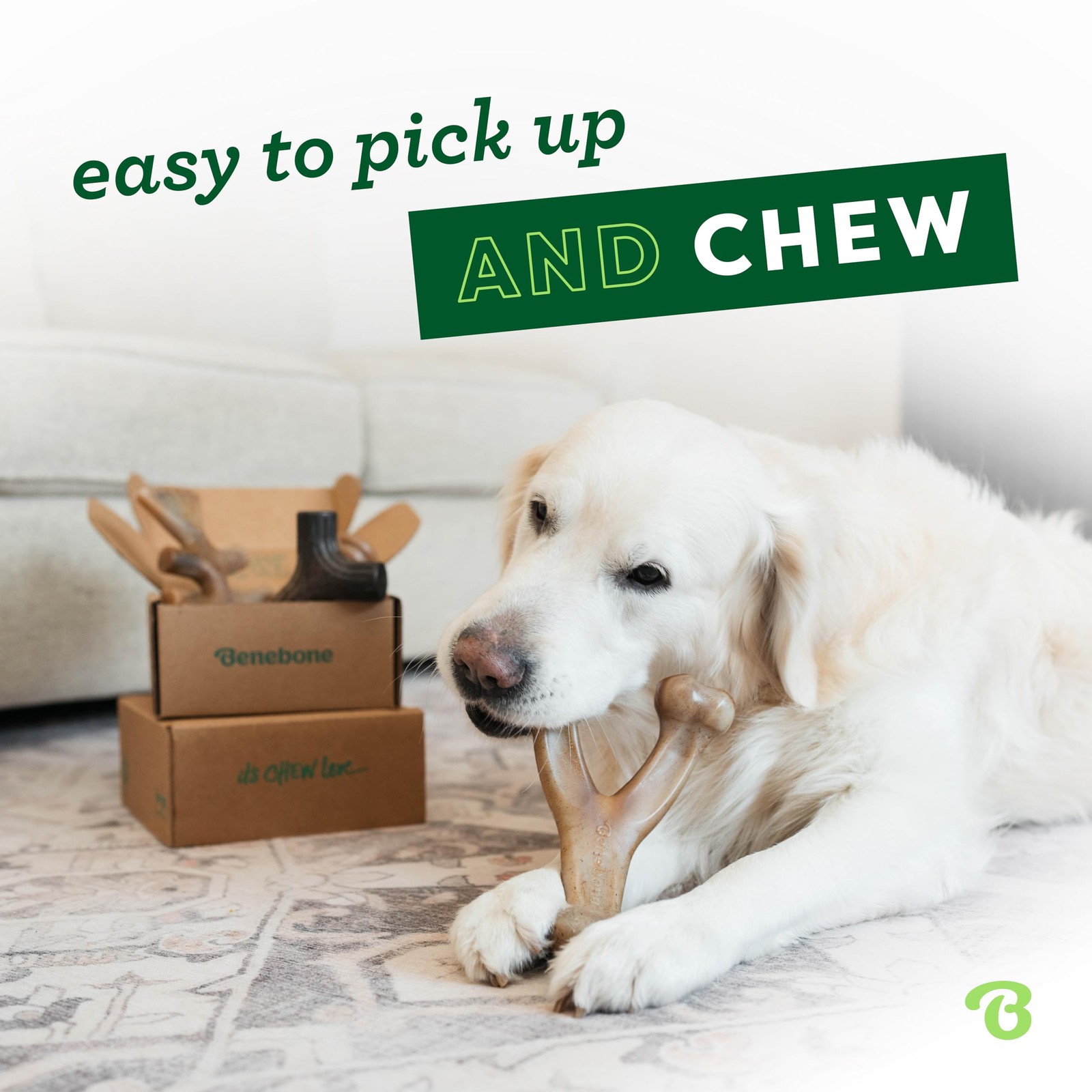 Benebone Small 4-Pack Dog Chew Toys – Aggressive Chewers, USA Made, Under 30lbs