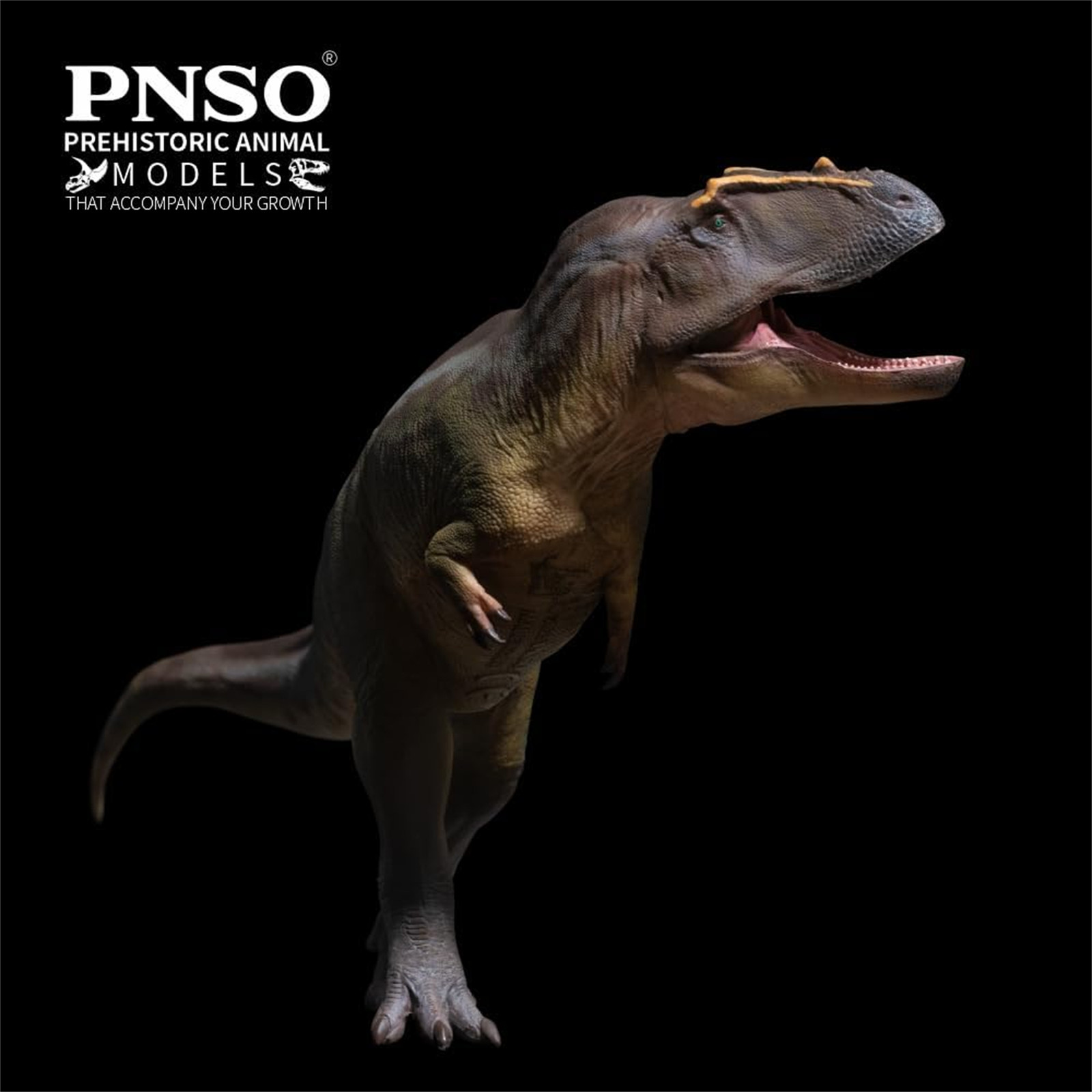 PNSO Tameryraptor 95 Model Decoration Dinosaur Animal Collection Gift Toys