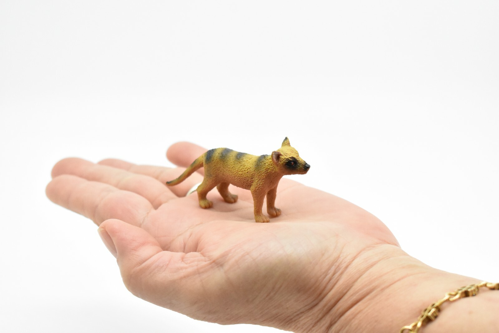 Tasmanian Tiger, Thylacine, Very Nice Plastic Animal Toy, 3″ CWG128 B238