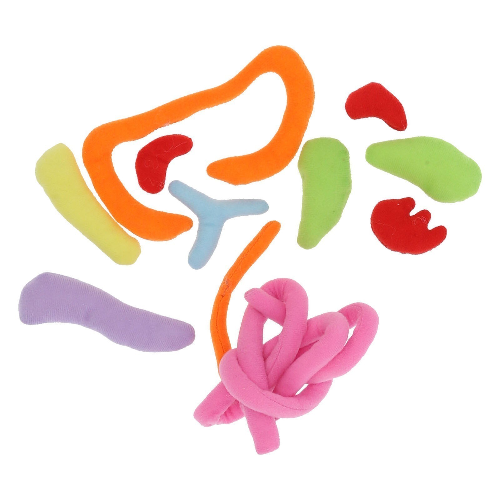 Anatomy Learning Doll Human Body Organs Physiological Educational Toy Preschool