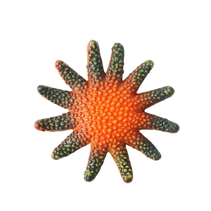 8PCs Star Fish Diving Training Toy Children Adult Summer Swimming Pool Beach Toy