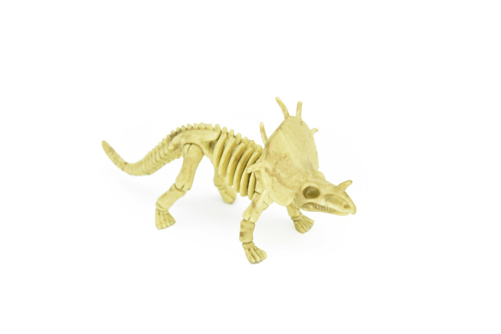 Protoceratops Dinosaur, Skeleton, Very Nice Plastic Replica 6″ – F3289 B66