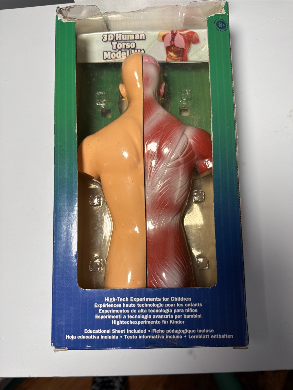 Science Explorers, Wild Republic 3-D Human Torso, Snapped Together Model 8 Pc￼